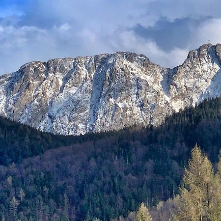 Apartament Rysy Apartamentyzakopianskie Basen Sauna Jacuzzi Zakopane Exteriér fotografie